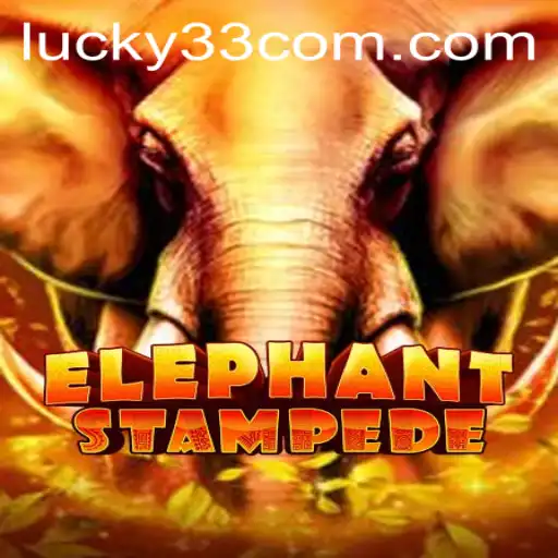 ElephantStampede: The Thrilling World of Lucky 33